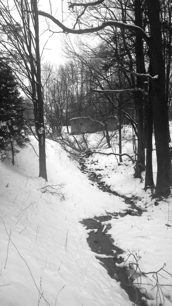 Tichá atmosféra na konci zimy